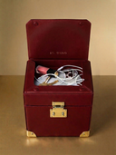 The Themis Breastmilk Cooler
