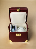 The Themis Breastmilk Cooler